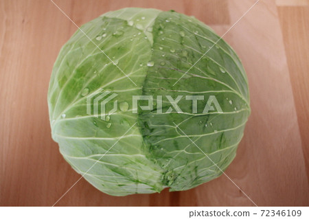 Delicious cabbage Delicious cabbage 72346109