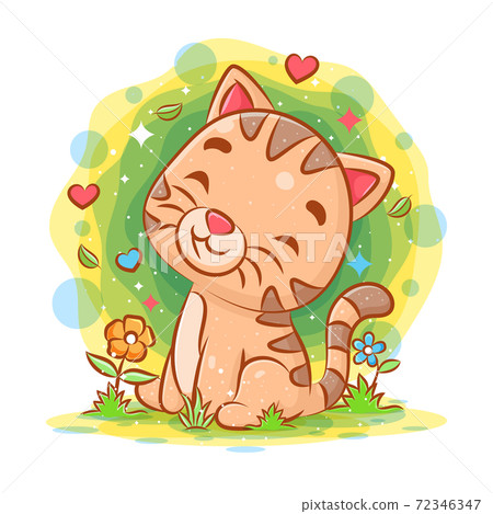 Baby cat sitting and smiling in the garden	 72346347
