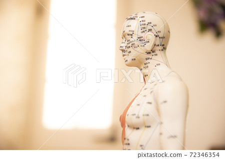 Acupuncture model salon image 72346354