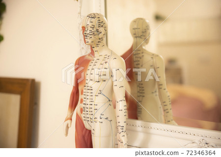 Acupuncture model salon image 72346364
