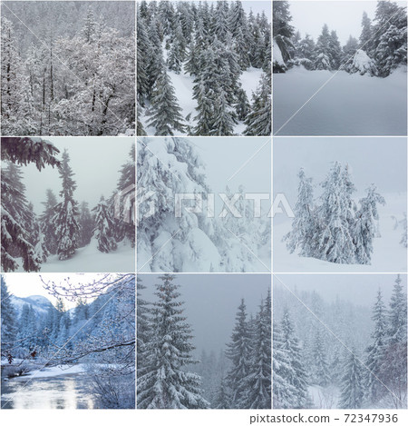 Winter collage Winter collage 72347936