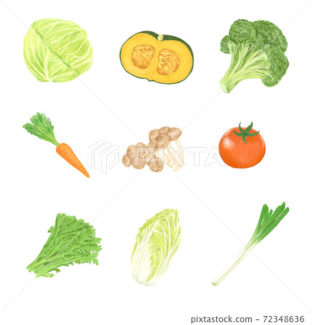 一套彩色鉛筆式蔬菜 一套彩色鉛筆式蔬菜 72348636