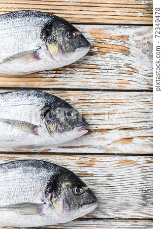 Set of raw headof dorado or Gilt head bream fish 72349478