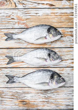 Set of raw whole dorada or Gilt head bream fish 72349561