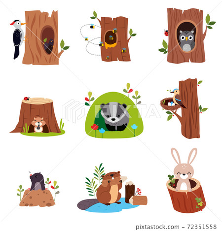Cute Forest Animals Sitting in Burrows and Tree Hollows Vector Set Cute Forest Animals Sitting in Burrows and Tree Hollows Vector Set 72351558