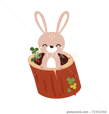 Funny Hare as Forest Animal Pepped Out from Hollow Log Vector Illustration 72351559