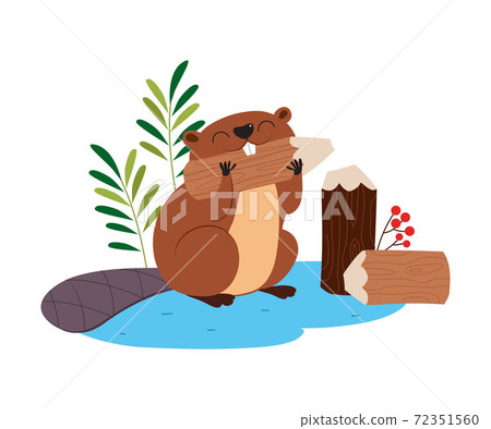 Funny Beaver Rodent as Forest Animal Gnawing... - Stock Illustration  [72351560] - PIXTA