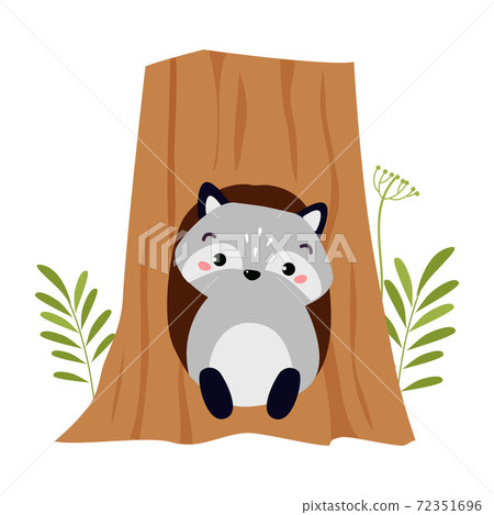 Funny Raccoon as Forest Animal Pepped Out from Tree Hollow Vector Illustration Funny Raccoon as Forest Animal Pepped Out from Tree Hollow Vector Illustration 72351696