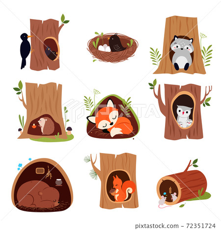 Cute Animals Sitting in Burrows and Tree Hollows Vector Set 72351724