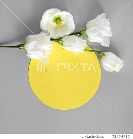 Floral pattern frame in trendy colour of the year. 72354715