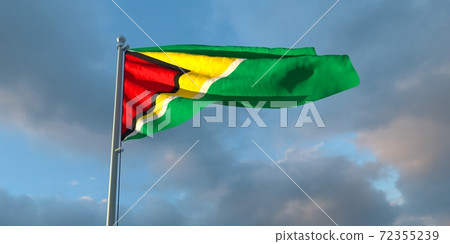 3d rendering of the national flag of the Guyana 72355239