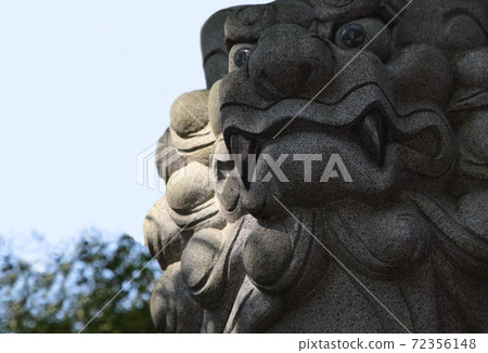 Komainu and lion at the main shrine of Kinomiya Shrine in Atami City 72356148