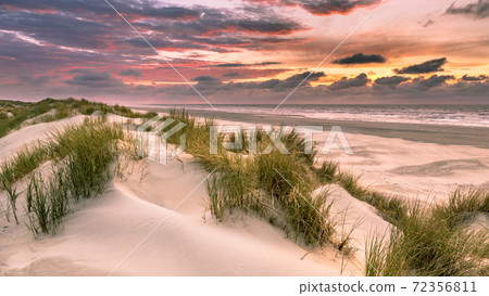 View from dune top over North Sea View from dune top over North Sea 72356811