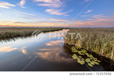 River through marshland with floating water lily 72357056