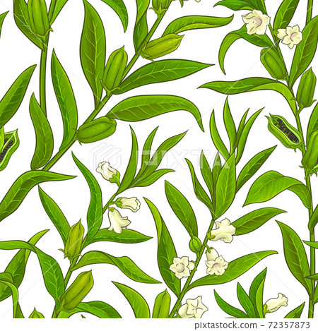 sesame vector pattern 72357873