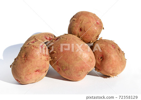 Potato (Andes red) Potato (Andes red) 72358129