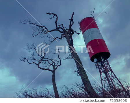 Tall tower and dry trees against overcast sky Tall tower and dry trees against overcast sky 72358608