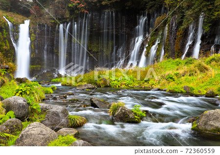 Autumn leaves of "Shiraito Falls" Fujinomiya City Autumn leaves of "Shiraito Falls" Fujinomiya City 72360559