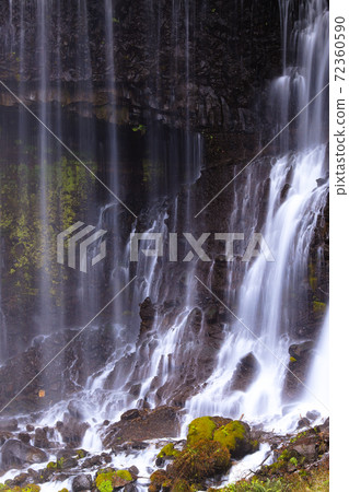 Autumn leaves of "Shiraito Falls" Fujinomiya City 72360590