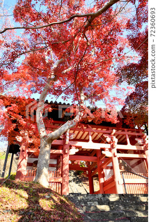 本溪寺紅葉 本溪寺紅葉 72360693