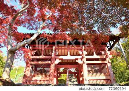 Honkei-ji Temple Autumn leaves at Sanmon Honkei-ji Temple Autumn leaves at Sanmon 72360694