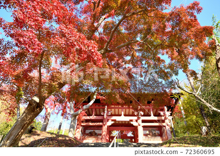 Honkei-ji Temple Autumn leaves at Sanmon 72360695