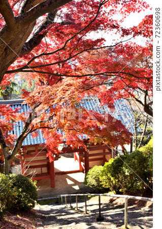 本溪寺紅葉 72360698