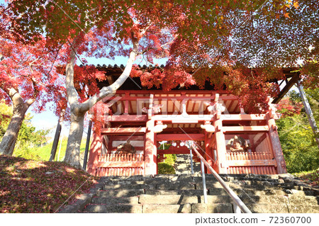 Honkei-ji Temple Autumn leaves at Sanmon Honkei-ji Temple Autumn leaves at Sanmon 72360700