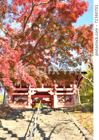 本溪寺紅葉 72360701