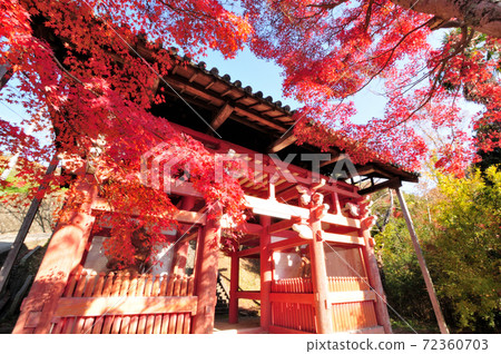 本溪寺紅葉 本溪寺紅葉 72360703