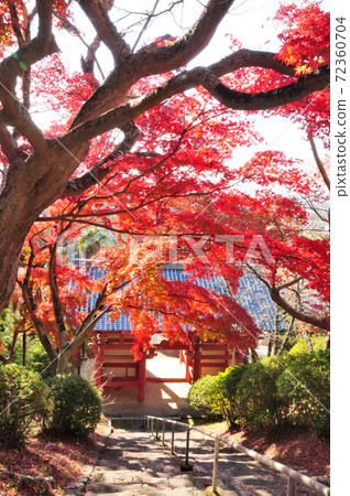 本溪寺紅葉 72360704