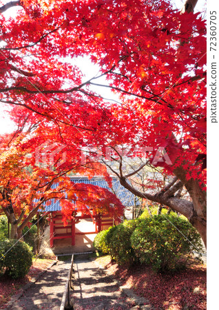 本溪寺紅葉 72360705