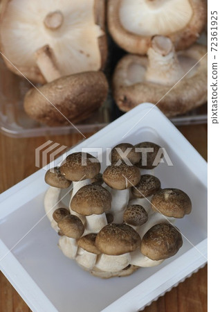 1,013 Shimeji Shitake Images, Stock Photos, 3D objects, & Vectors