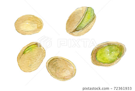 Watercolor illustration food pistachio Watercolor illustration food pistachio 72361933