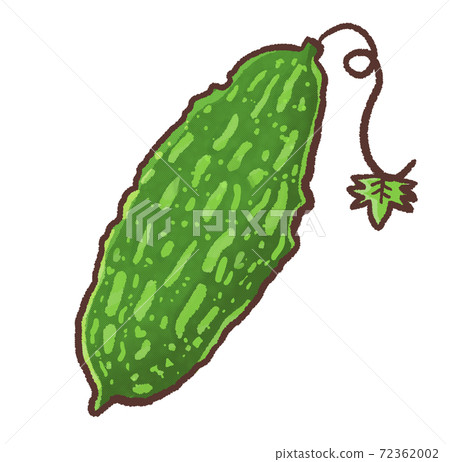 R: More fairy tale summer vegetable bitter gourd R: More fairy tale summer vegetable bitter gourd 72362002