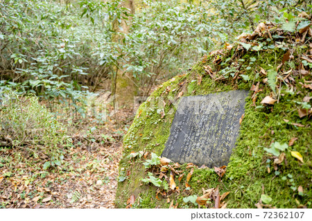 Kikuchi Gorge Promenade Stone Monument [Kikuchi City, Kumamoto Prefecture] 72362107