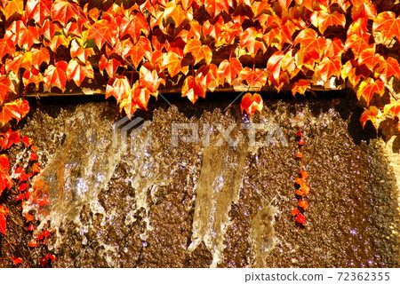 彩色秋葉自來水公園噴泉（註冊於2020年12月）最大尺寸：L 72362355