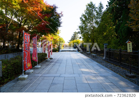 [靜岡縣]秋葉山本宮秋葉神社 72362820