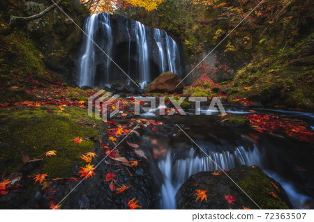 Tsuruzawa不動瀑布的秋天 72363507