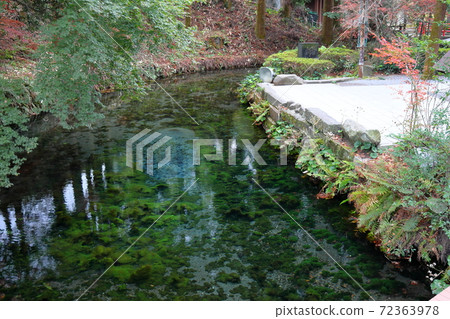 Shirakawa water source Shirakawa water source 72363978