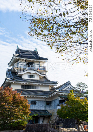 [Shizuoka Prefecture] Koyama Castle (Yoshida) 72364133