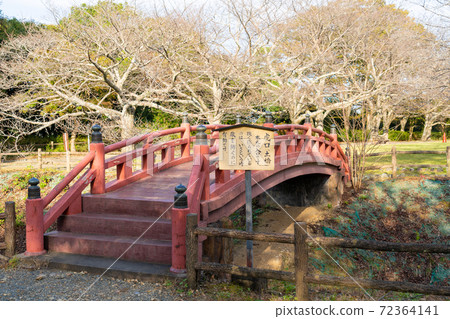 [靜岡縣]小山城（吉田） 72364141