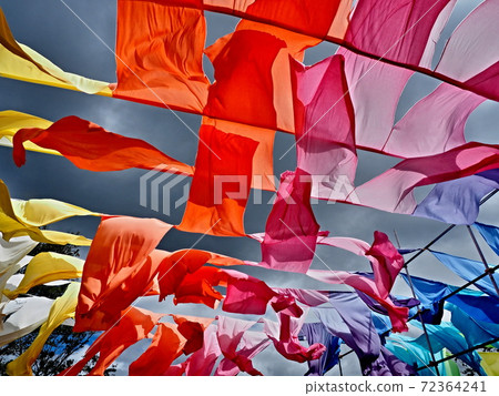 Scenery of Hakodateyama Kokia Park Scenery of Hakodateyama Kokia Park 72364241