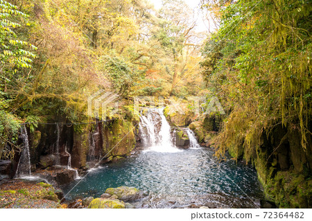Kikuchi Gorge Autumn Leaves Ryugabuchi / Tengu Waterfall [Kikuchi City, Kumamoto Prefecture] 72364482