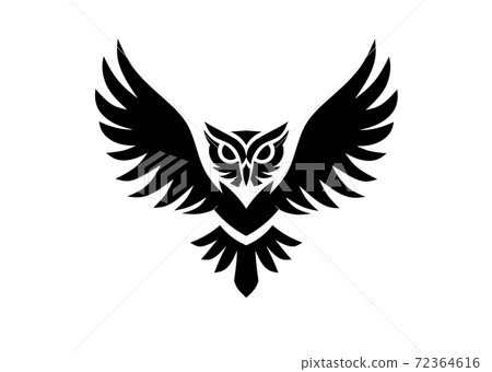 bird, icon, logo 72364616