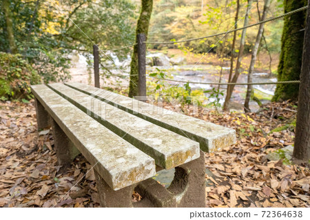 Kikuchi Gorge [Kikuchi City, Kumamoto Prefecture] 72364638