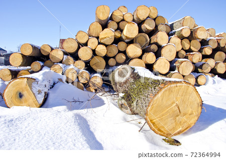 firewood  stack  on winter snow 72364994