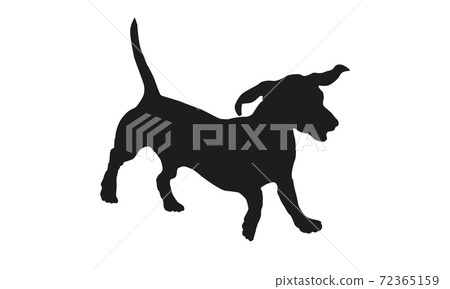Running sausage dog puppy. Black dog silhouette. 72365159
