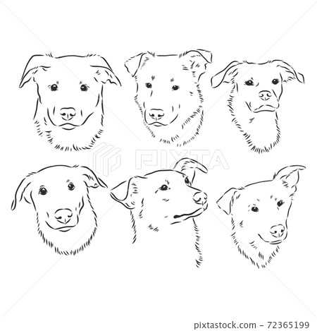 Sketch of funny dog. vector illustration. portrait of a dog vector sketch illustration 72365199