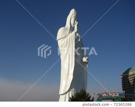 Sendai Daikannon　 72365266